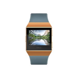 Fitbit Ionic Smartwatch Slate Blue/Burnt Orange